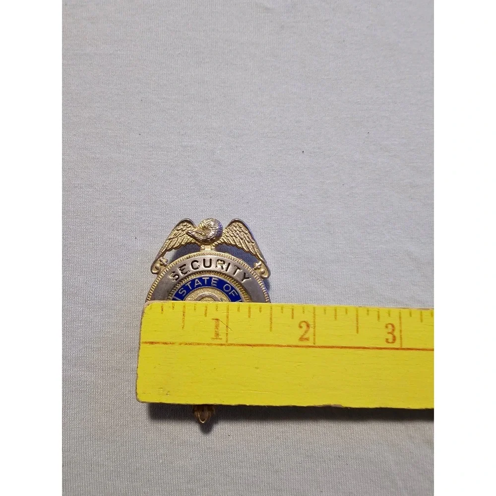 Vintage State Of Georgia Security Officer Badge Gold Tone Blue Enamel Eagle Pin
